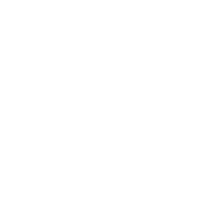 Payoneer