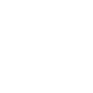 Sage100