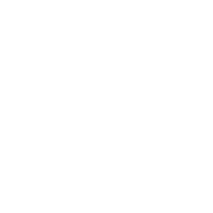Radix