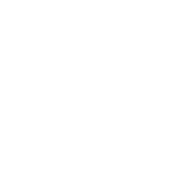 Volt