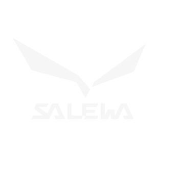 Logo Salewa in WebP Format