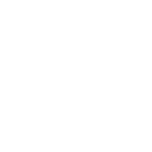 Microsoft Dynamics AX