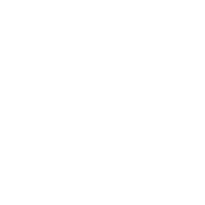 SAP® BusinessOne