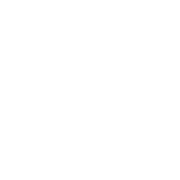 Google Shopping